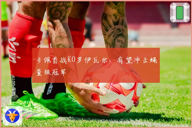 卡佩首战KO罗伊瓦尔，有望冲击蝇量级冠军